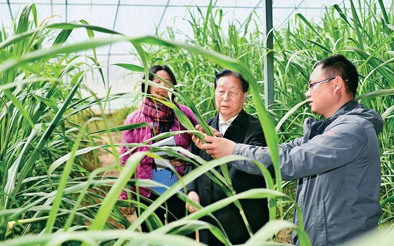 微信图片_20250120121039.jpg